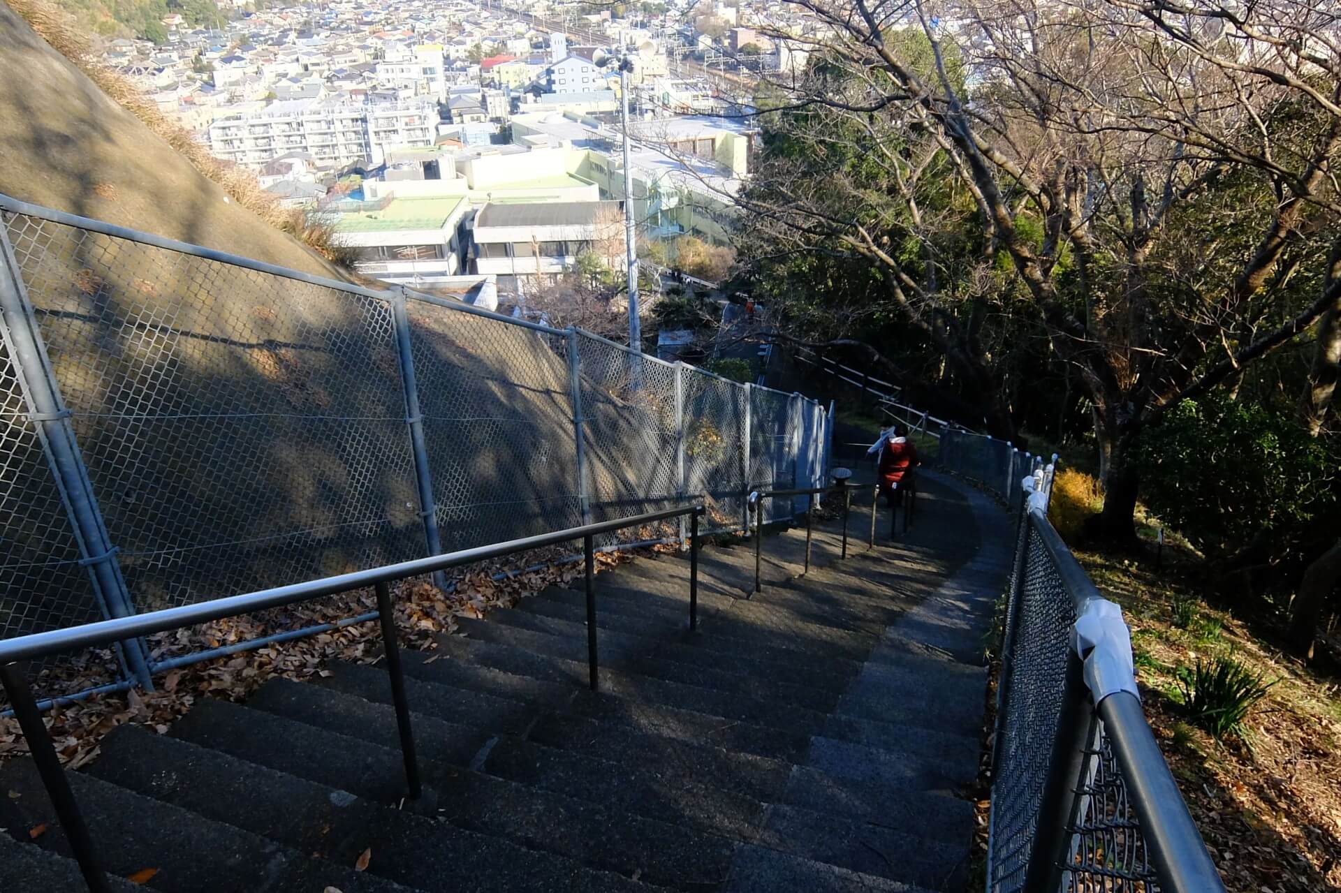 吾妻山公園の階段